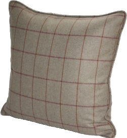 Cushion